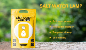 Salt Water Emergency Light