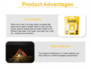 Salt Water Emergency Light